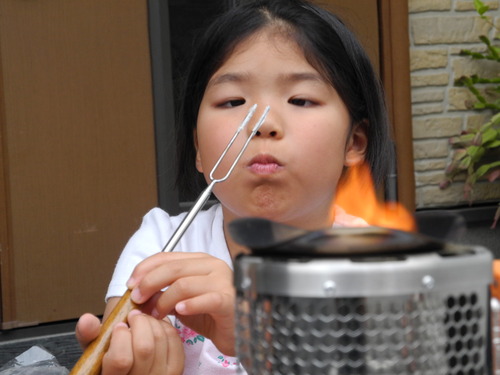 BioLite CampStove　「話題の？焚火発電ストーブ」 レポ