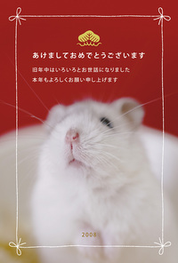 謹賀新年 2008/01/01 02:32:06