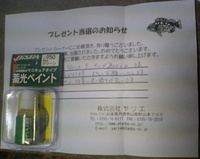 蓄光塗料