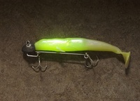 何処まで入るケミホタル