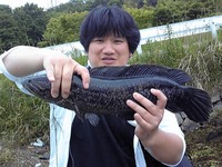 黒バス釣り