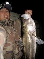 fishingmonkeys
