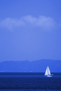 風