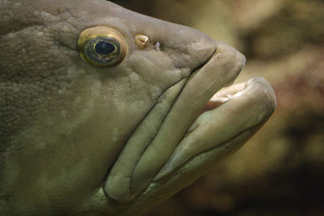 須磨海浜水族園