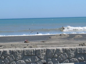 先日の海