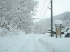 雪中キャンプ（出発から設営まで）