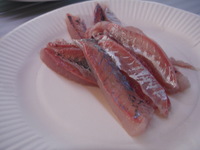 GWキャンプ（その１）