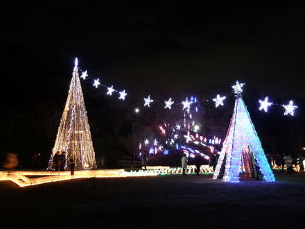 広島市植物公園のイルミ