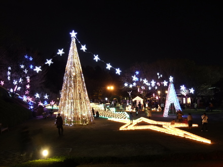 広島市植物公園のイルミ