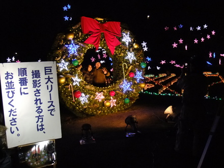 広島市植物公園のイルミ