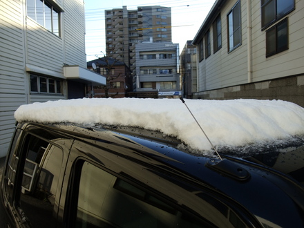 うっすら雪化粧