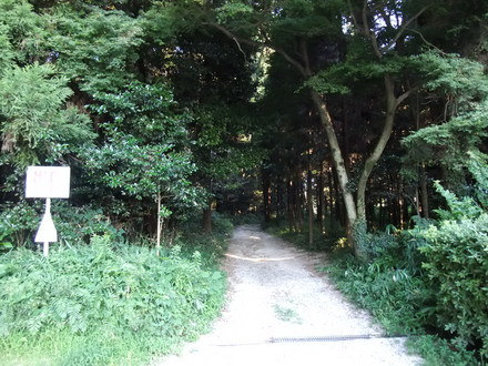 夏休みの自由研究、大丈夫？？