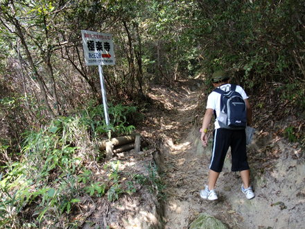 極楽寺山登山レポート（その2）