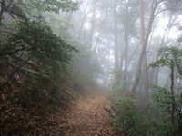極楽寺山登山レポート（その2）