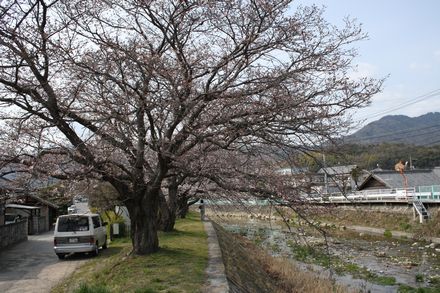 ありがとうございました