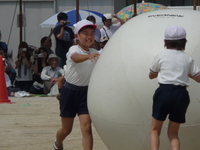 運動会(5/24)