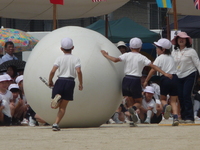 運動会(5/24)