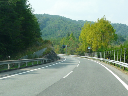 長い長い帰り道