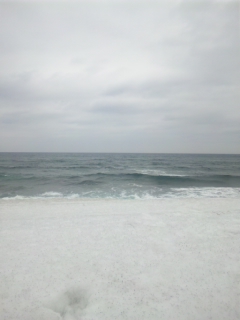 久しぶりの海
