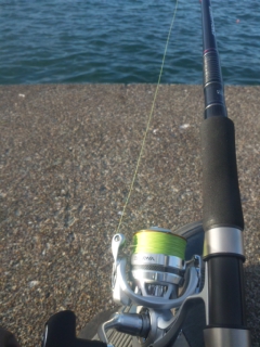 2013サケ釣り5回目その１