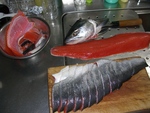 紋別釣行その３