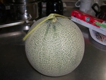 頂き物