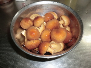 畑なめこ2011