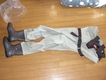 買っちゃった