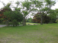 山燗音　9　〜池ヶ成キャンプ場　（3） 2012/06/05 23:58:19