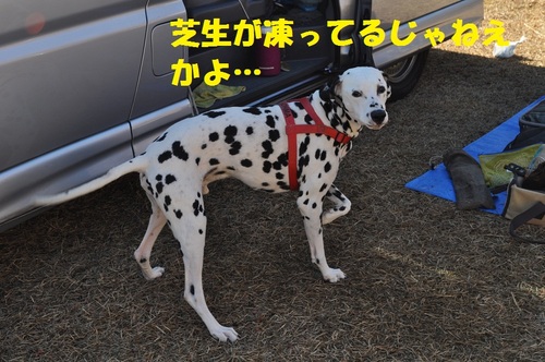 小型貨物車デビューキャン（2）