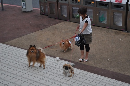 青森はやっぱり遠かった…