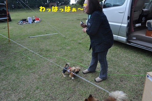 大人の「振る舞え！」キャンプ　②