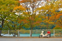 紅葉ぷちツー＠西丹沢 2014/10/30 17:25:00