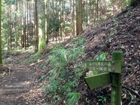 （単独登山）後沢乗越～鍋割山～鍋割山稜～大倉尾根 2014/10/25 18:15:41