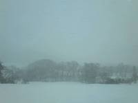 雪からの 2014/03/09 19:04:24