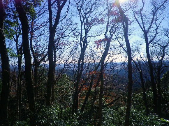 愛宕山からユガテ、顔振り山