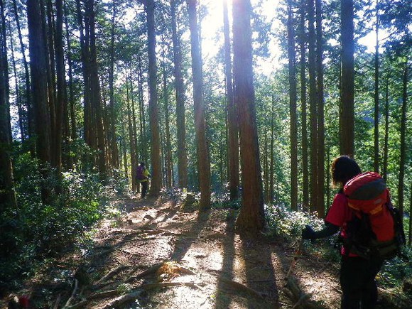 愛宕山からユガテ、顔振り山