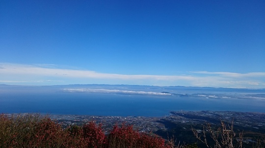 青は藍より出でて藍より青し
