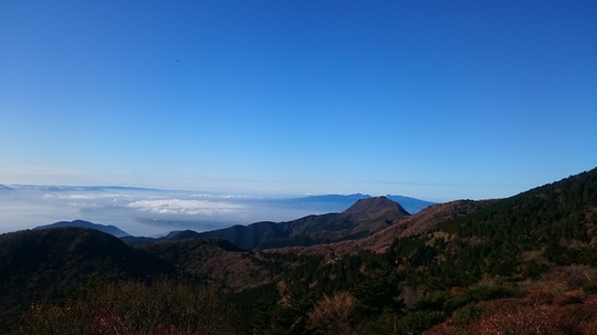 青は藍より出でて藍より青し