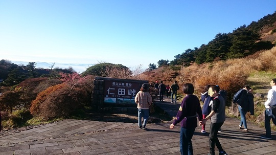 青は藍より出でて藍より青し