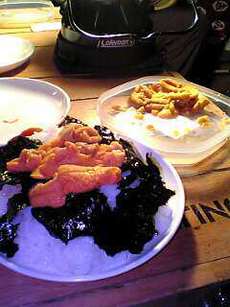 ウニ丼最高！