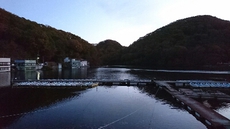 円良田湖×ボート
