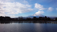 東山湖釣行
