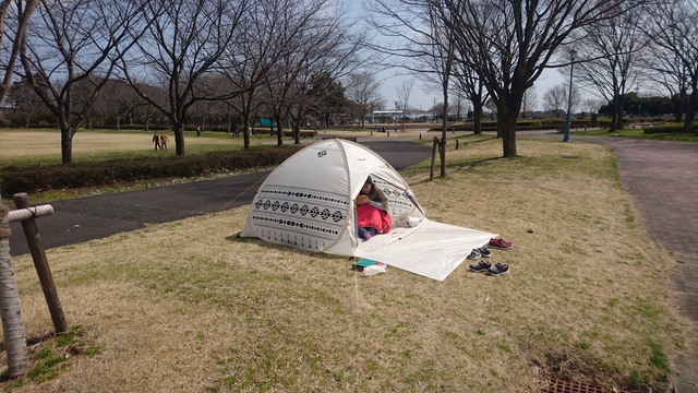 新幕購入(続編その②)