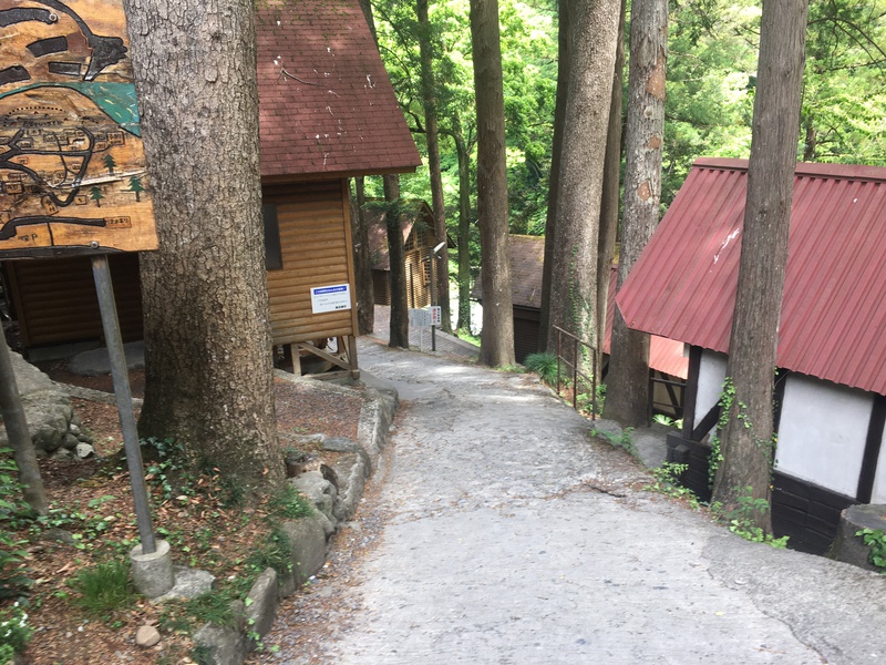 始めましての氷川キャンプ場