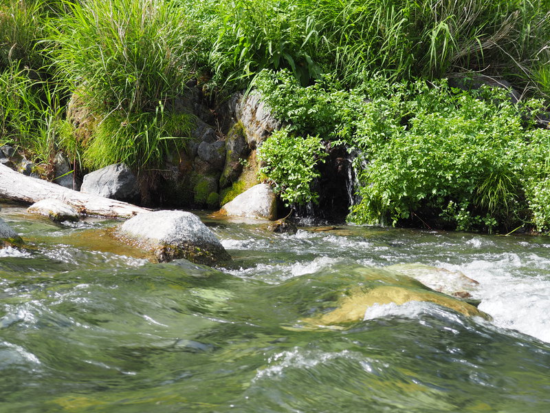 始めましての氷川キャンプ場