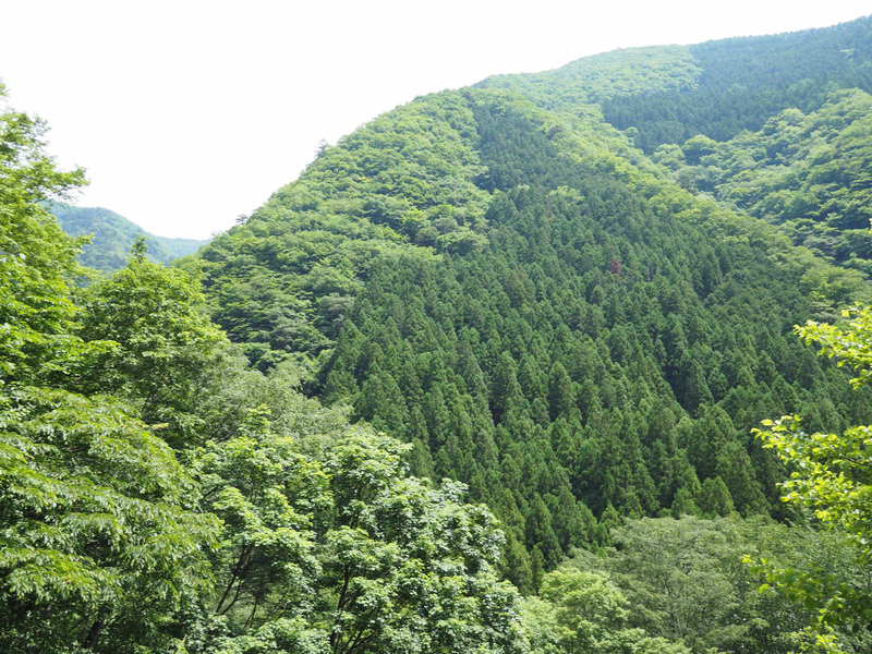 奥秋テント村から天空営地へ