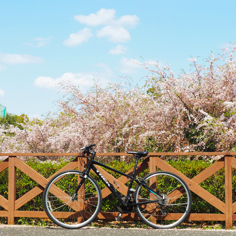 自転車