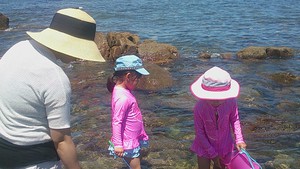 阿字ヶ浦海岸の磯遊び 阿字ヶ浦海岸の磯遊び