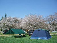 2014/04/12 ～ 04/13 成田ゆめ牧場